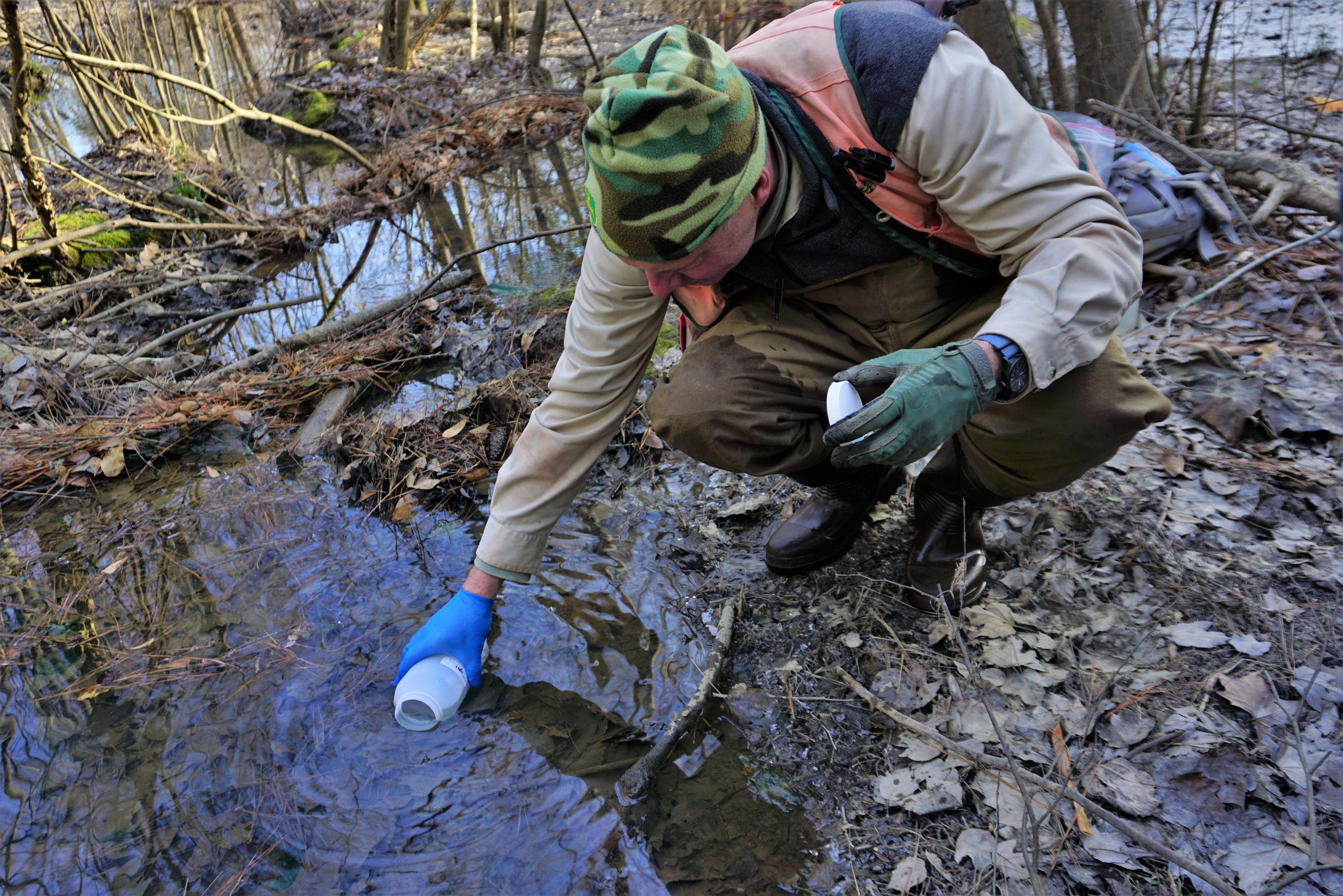 quantifying-urban-wetland-water-quality-benefits-north-carolina-wetlands